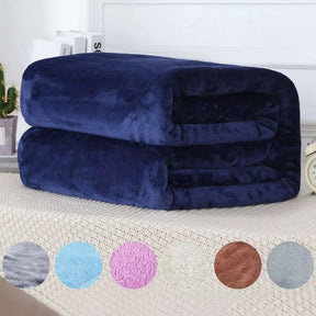 Kit 2 Mantas Casal de Inverno Microfibra Lisa